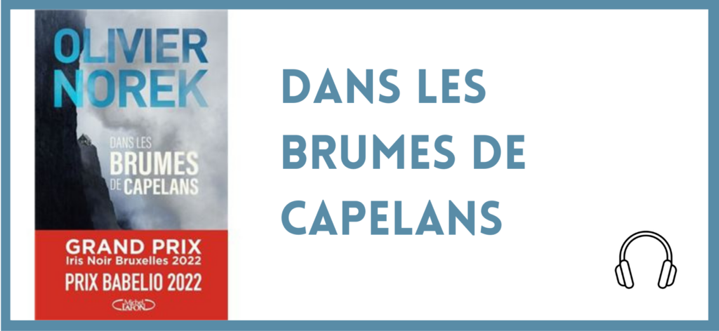 Couverture "Dans les brumes de Capelans" best sellers et romans primés 